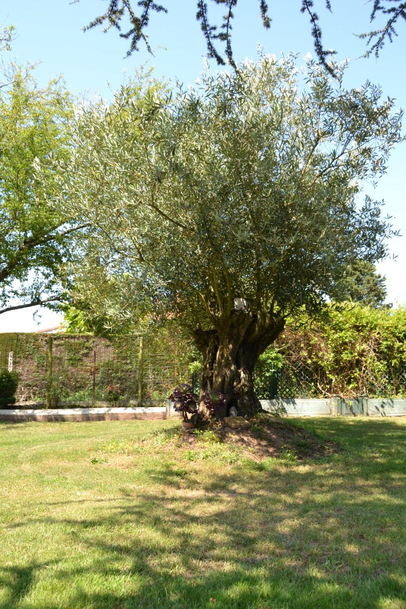 Le Gite De La Lombriere Saint-Denis-de-Pile Экстерьер фото